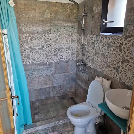 Casa Tache Pensionat